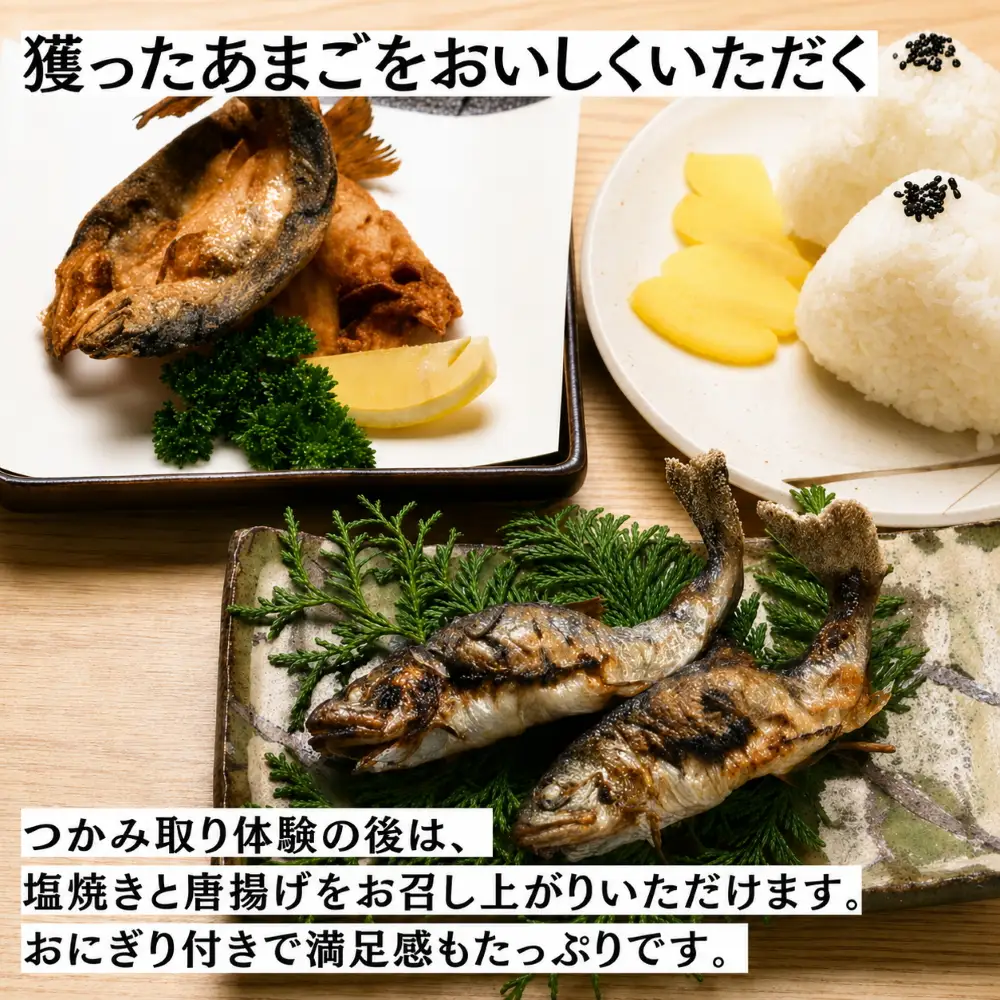 あまごつかみ取り 調理込み体験チケット 1名様分　唐揚げ塩焼き おにぎり付き 家族旅行 夏休み思い出作り あまご釣り