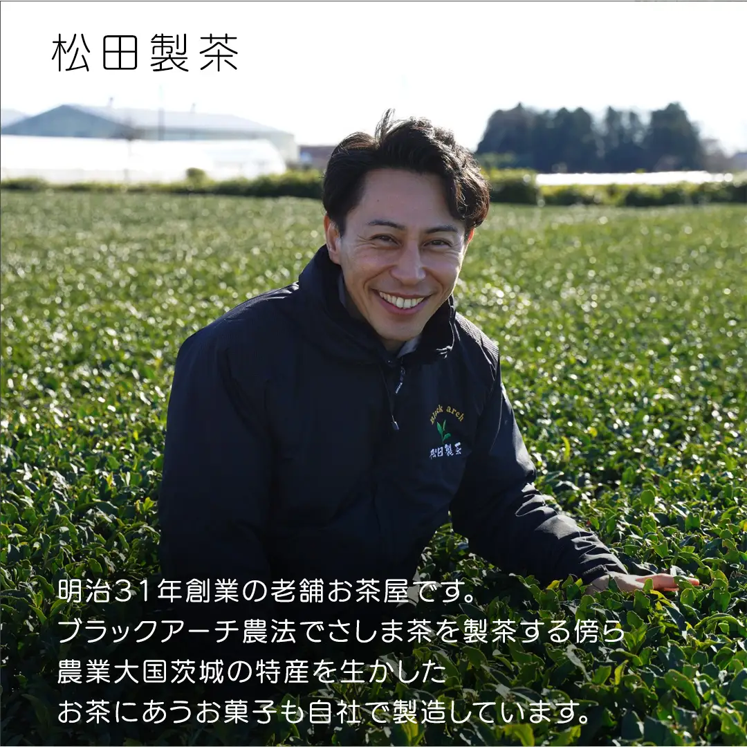 干し芋 平干し 200g × 3袋 (茨城県産 紅はるか 100%使用) いも 芋 さつまいも さつま芋 スイーツ お菓子 菓子 和菓子 お茶菓子 持ち運び グルメ おやつ 茨城県 [DV030sa]