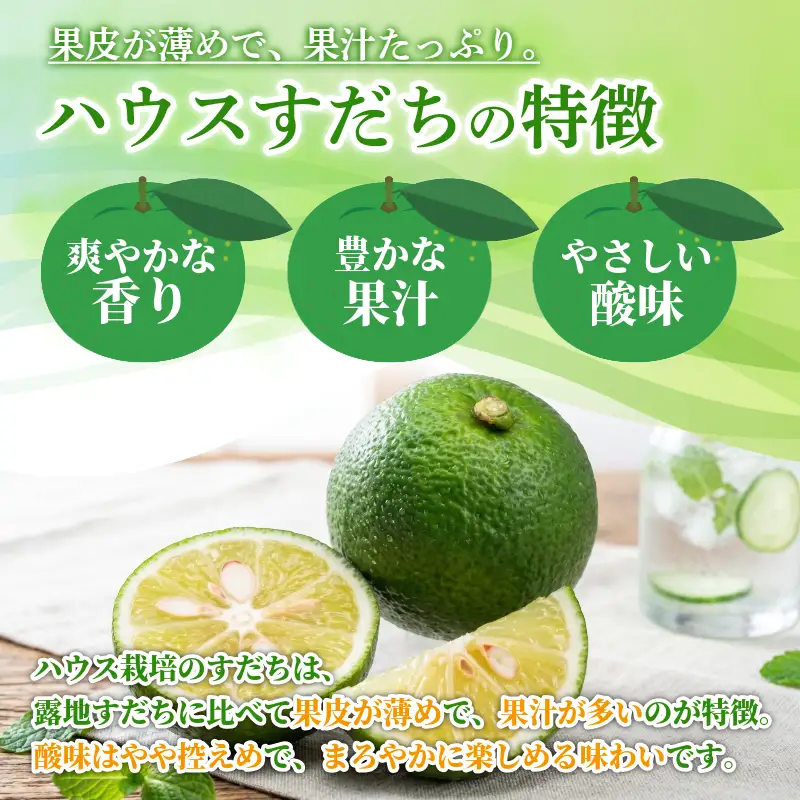 先行予約 【6月中旬～8月上旬まで順次発送】ハウス すだち 1kg