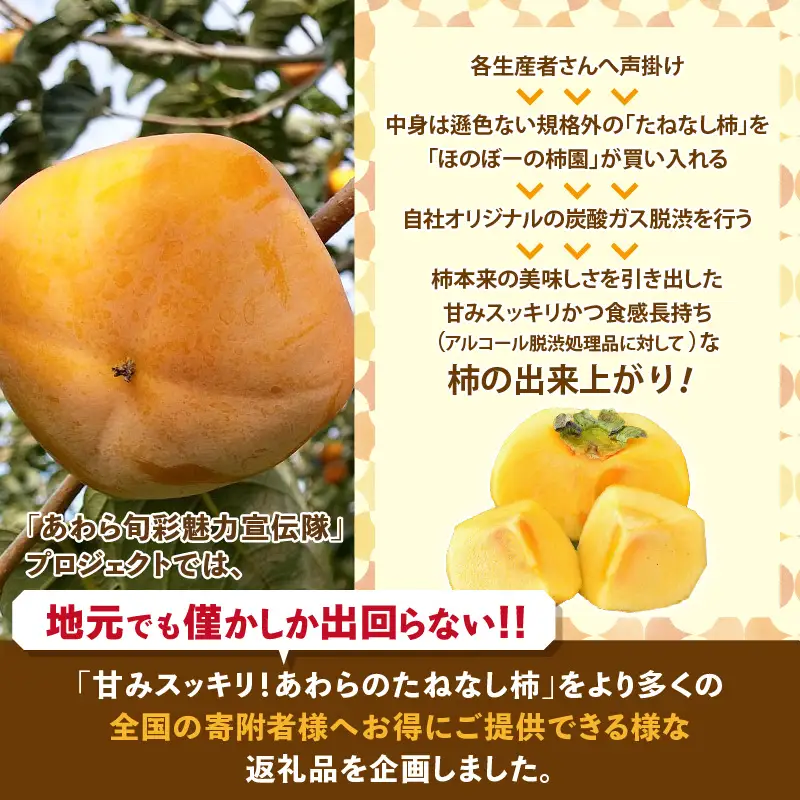 【先行予約】【訳あり】【2026年11月中旬以降発送予定】 甘みすっきり！あわらのたねなし柿 約8kg（32個～40個）（ご家庭用）／ 果物 フルーツ 産地直送 期間限定 ※2026年11月中旬以降発送予定 [aw031-a004_11]