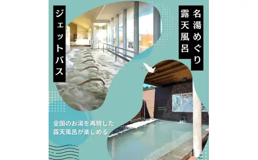 日帰り天然温泉 「 本宮の湯 」 入浴券11枚セット
