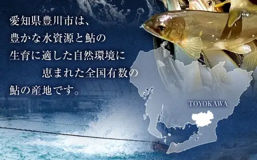 【 とよかわ鮎 】 冷凍 約1kg 厳選鮎使用！ （ 急速冷凍 ）