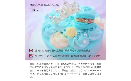 水色マカロンティアラケーキ