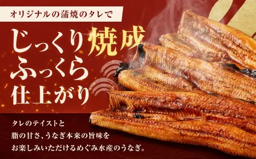 【7月13日までの入金確認で土用の丑の日までにお届け】めぐみうなぎ 蒲焼き 6尾 セット うなぎ 鰻 ウナギ 魚類 うな重 うな丼 晩ごはん 惣菜 おかず 贅沢 冷凍 国産 大阪府産 養殖 無投薬