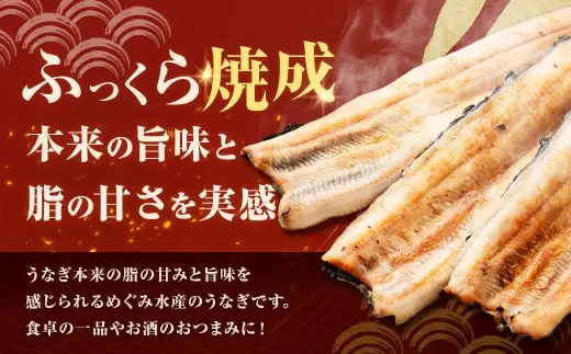 【7月13日までの入金確認で土用の丑の日までにお届け】めぐみうなぎ 白焼き 6尾 セット うなぎ 鰻 ウナギ 魚類 うな重 うな丼 晩ごはん 惣菜 おかず 贅沢 冷凍 国産 大阪府産 養殖 無投薬