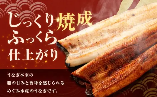 【7月13日までの入金確認で土用の丑の日までにお届け】めぐみうなぎ 紅白 6尾セット うなぎ 鰻 ウナギ 魚類 うな重 うな丼 晩ごはん 惣菜 おかず 贅沢 冷凍 国産 大阪府産 養殖 無投薬
