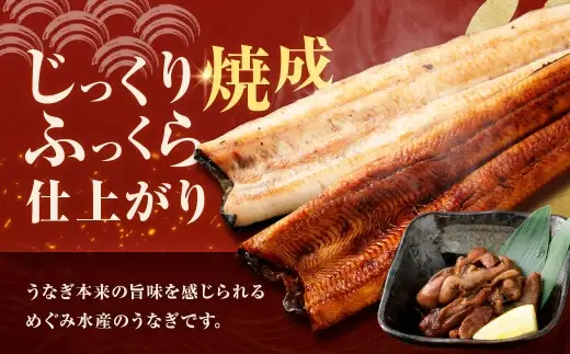 【7月13日までの入金確認で土用の丑の日までにお届け】めぐみうなぎ 堪能うなぎづくし セット 【 蒲焼 × 4 ／ 白焼き × 2 ／ 肝 × 2 】 うなぎ 鰻 ウナギ 魚類 うな重 うな丼 晩ごはん 惣菜 おかず 贅沢 冷凍 国産 大阪府産 養殖 無投薬 