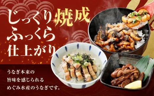 【7月13日までの入金確認で土用の丑の日までにお届け】めぐみうなぎ ちょこっと贅沢 セット 【 蒲焼 （ ひつまぶし ） × 2 ／ 白焼き （ ひつまぶし風 ） × 2 ／ 肝 × 2 】 うなぎ 鰻 ウナギ 魚類 うな重 うな丼 晩ごはん 惣菜 おかず 贅沢 冷凍 国産 大阪府産 養殖 無投薬