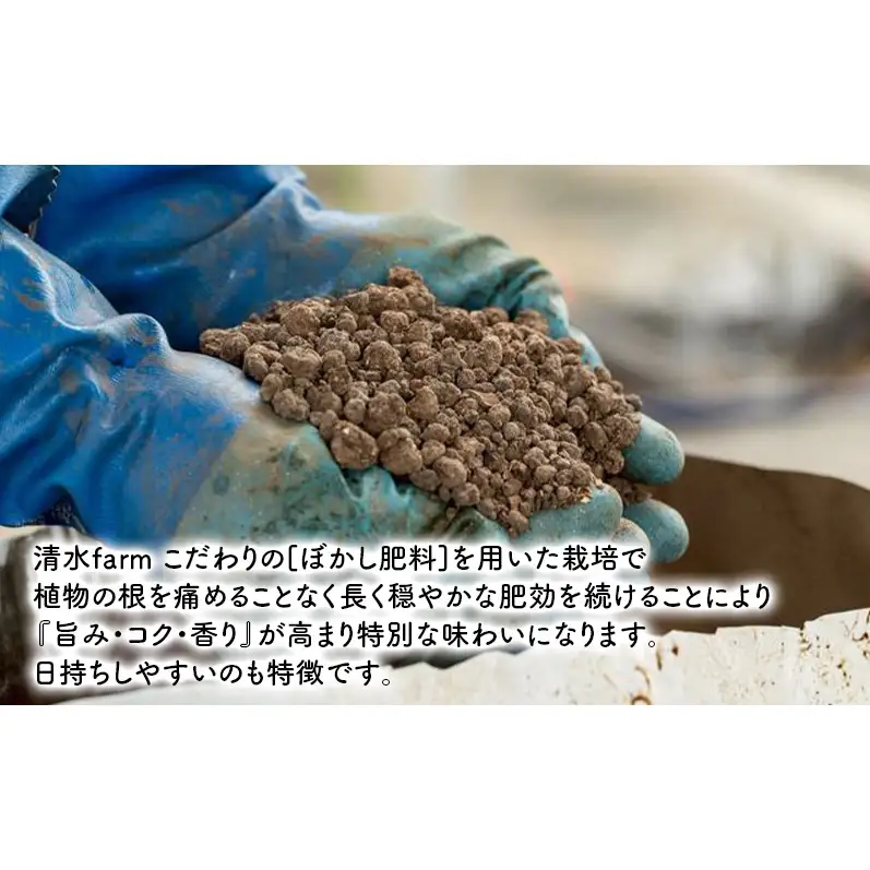 【2027年4月～発送】富良野産 採れたて直送! グリーンアスパラ 「雫」M～Sサイズ【約2kg】 (清水farm) アスパラ アスパラガス 野菜 新鮮 季節限定 北海道 富良野 ふらの