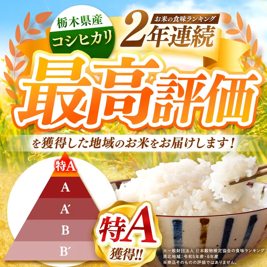 【令和8年産 新米】栃木県産 お米 白米 こしひかり 20kg | 栃木県 矢板市　栃木県共通返礼品 栃木県産