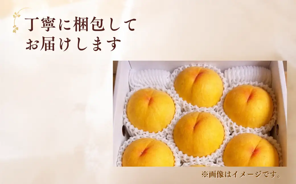【先行受付】黄桃2kg | 岡山県産 黄金桃 桃 フルーツ 果物 高級フルーツ 岡山 桃 お取り寄せ 産地直送 希少品種 国産フルーツ 黄金桃 人気 数量限定 旬の果物 甘い ジューシー 芳醇 みずみずしい 夏の味覚 先行予約