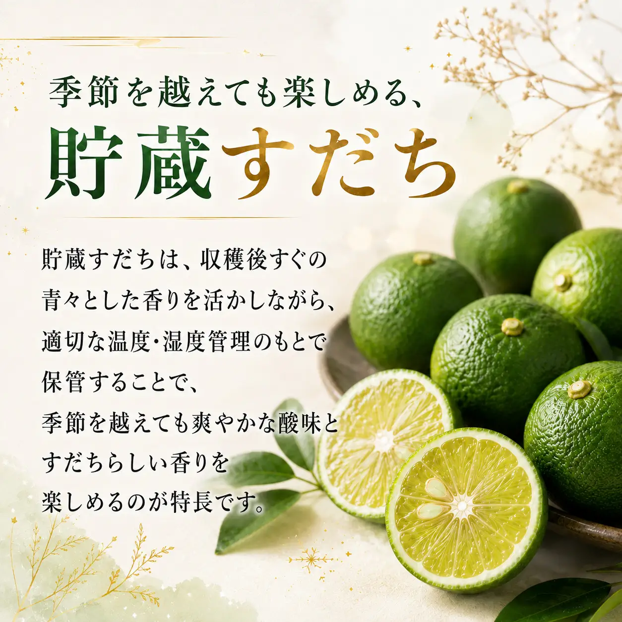 先行予約 【12月中旬～2月中旬まで順次発送】すだち 貯蔵 1kg 柑橘