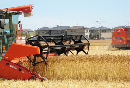 愛知県産 パン用 小麦粉 ゆめあかり 2.5kg × 4袋 計 10kg 国産 強力粉 ブランド 小麦 強力系小麦粉 ふわふわ もっちり 甘味 チャック付き パン ホームベーカリー ベーグル 食パン お取り寄せ 愛知県 碧南市 送料無料 H008-250