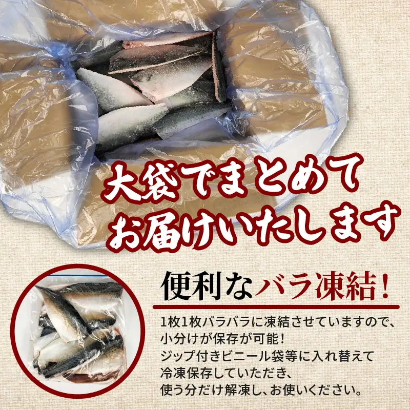 訳あり 無塩サバ フィレ 2kg さば 鯖