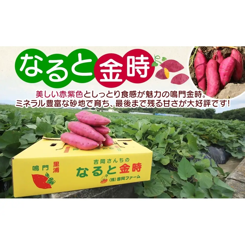吉岡さんちの なると金時 ドライスイーツ 極干 きわみぼし 90g×5P 計450g