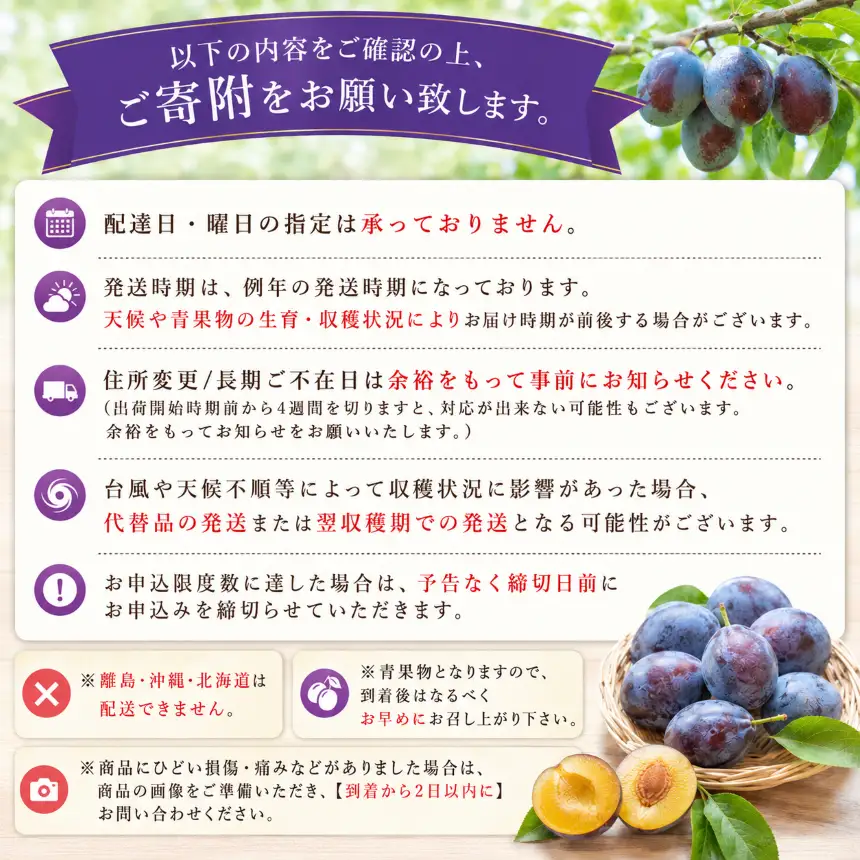 塩尻市産プルーン【約1.5ｋｇ】【品種おまかせ】 