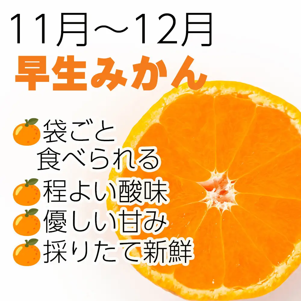 ［定期便 全8回］和歌山県鈴木農園産 旬のフルーツ定期便