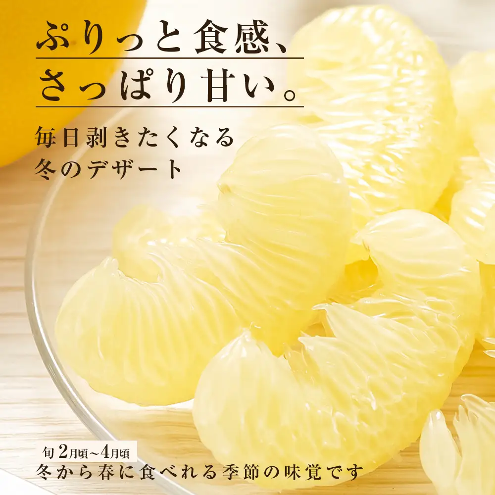 先行予約 訳あり 土佐文旦 家庭用 約7kg 約10～22玉 M～5L混合サイズ 高知県産