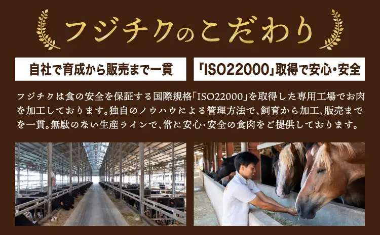 ふじ馬刺し上級赤身3種とユッケネギトロの詰め合わせ (ふじ馬刺しロース、ランプ、上赤身各80g、ユッケ50g×2、ネギトロ50g)