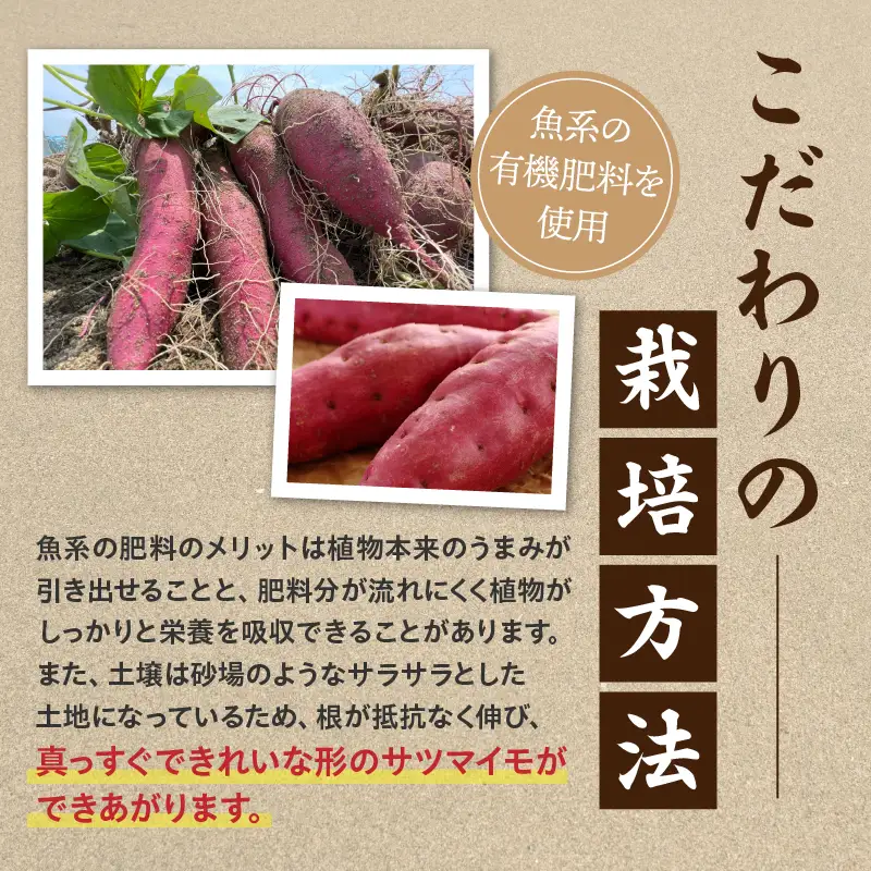 【定期便2ヶ月】さつまいも 金時 4.5kg・H130