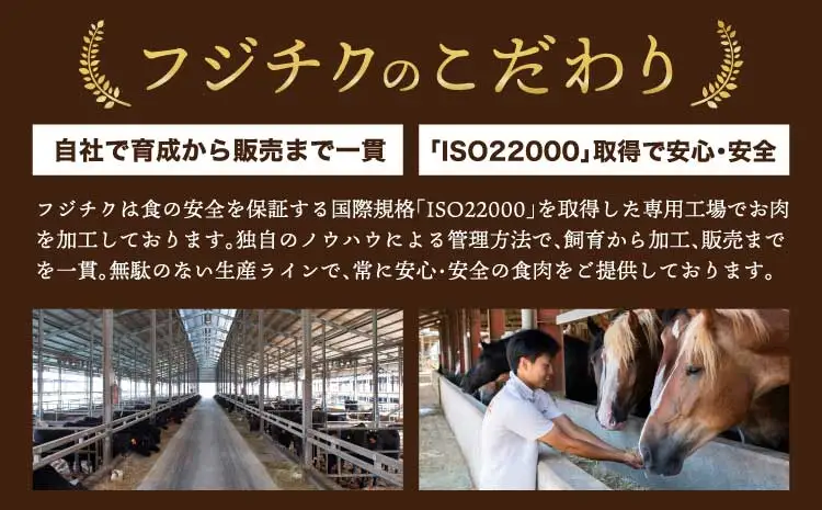 「本場・熊本」霜降り馬刺しと赤身の贅沢6種セット (ふじ馬刺し メン(三枚バラ)、大トロ、中トロ、ヒレ(シャトーブリアン)、ロース各80g、ユッケ50g)