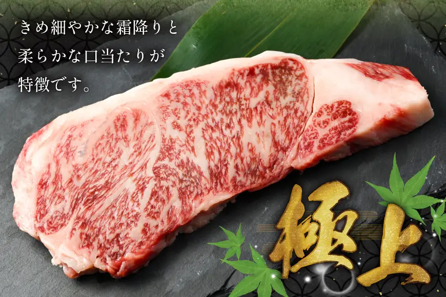 AK024 長崎和牛 サーロイン ステーキ 250g 2パック 計500g 