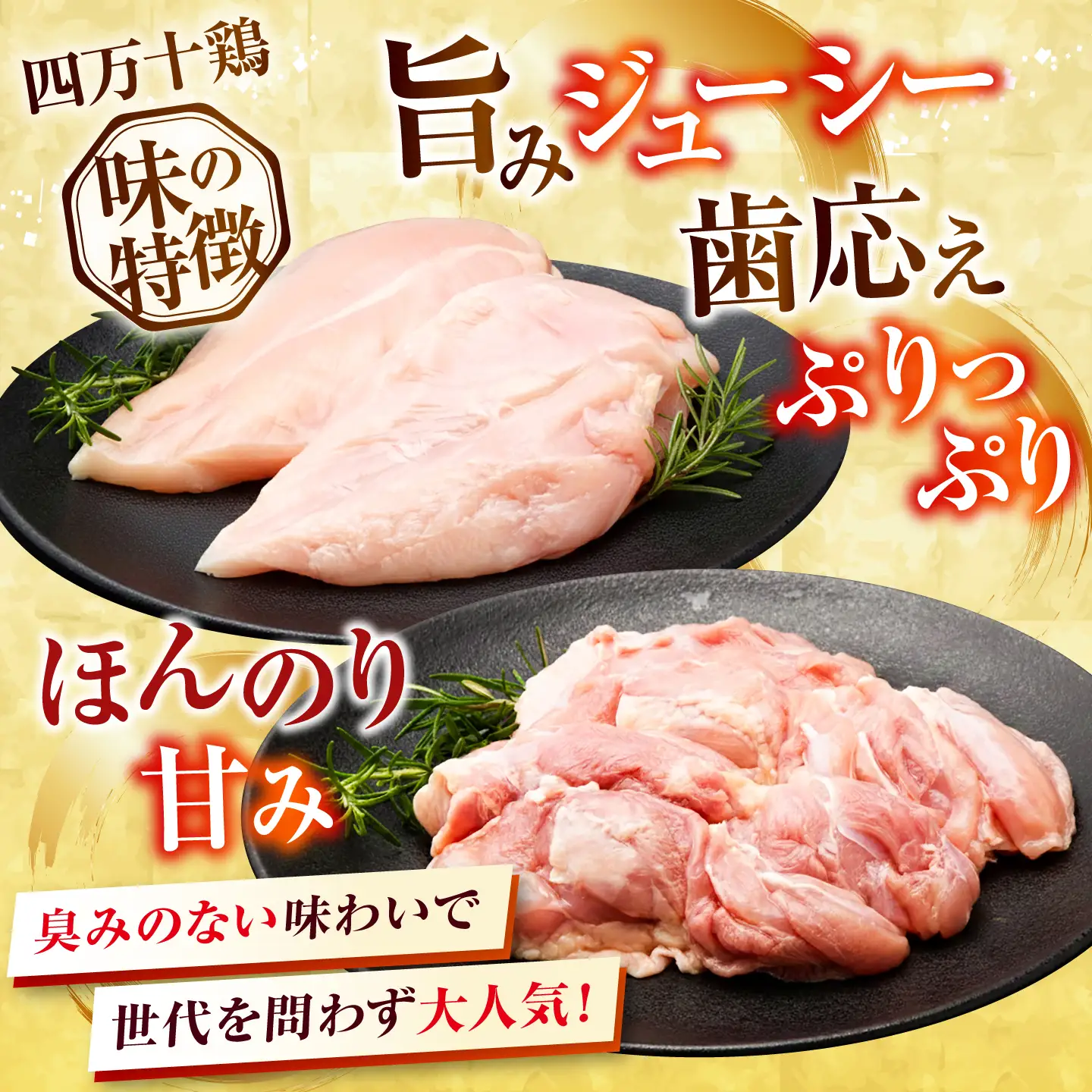 【6回定期便】四万十鶏 おいしいとこ鶏 セット (もも肉 むね肉  計約1.2kg)/ 四万十鶏 もも肉 むね肉 冷凍【三栄ブロイラー販売株式会社】[ATDP011]