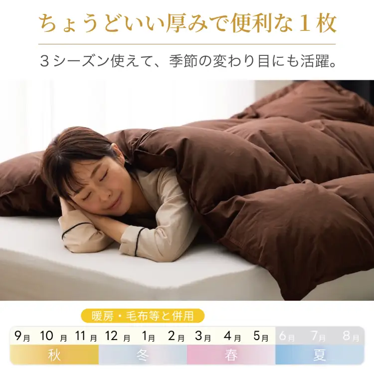 【春秋用】 洗える 羽毛布団 合掛け シングル ホワイトダックダウン85% 0.8kg 無地 ブラウン 中厚 春用 秋用