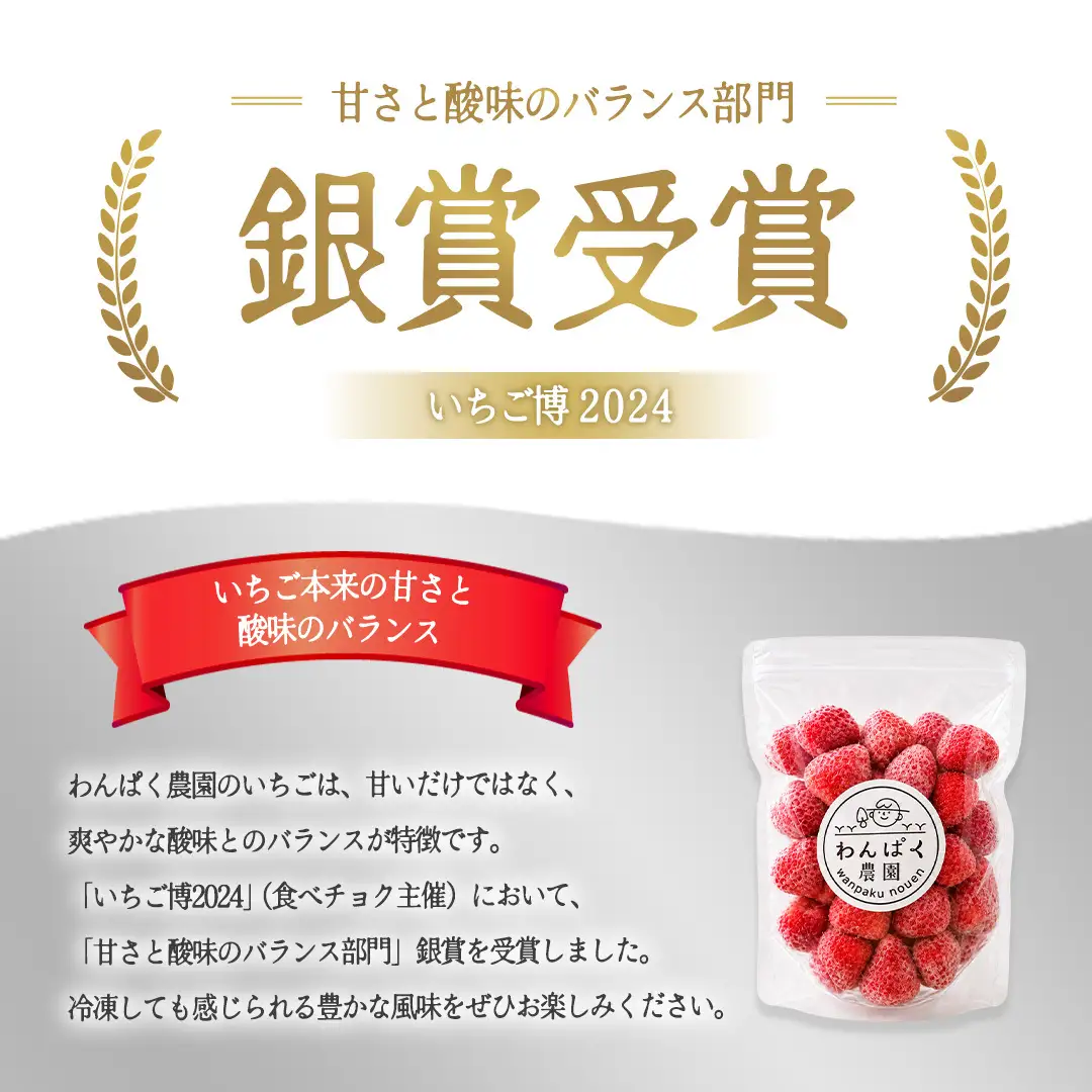 冷凍 完熟 イチゴ 1kg ( 500g × 2袋 )  (BT003)