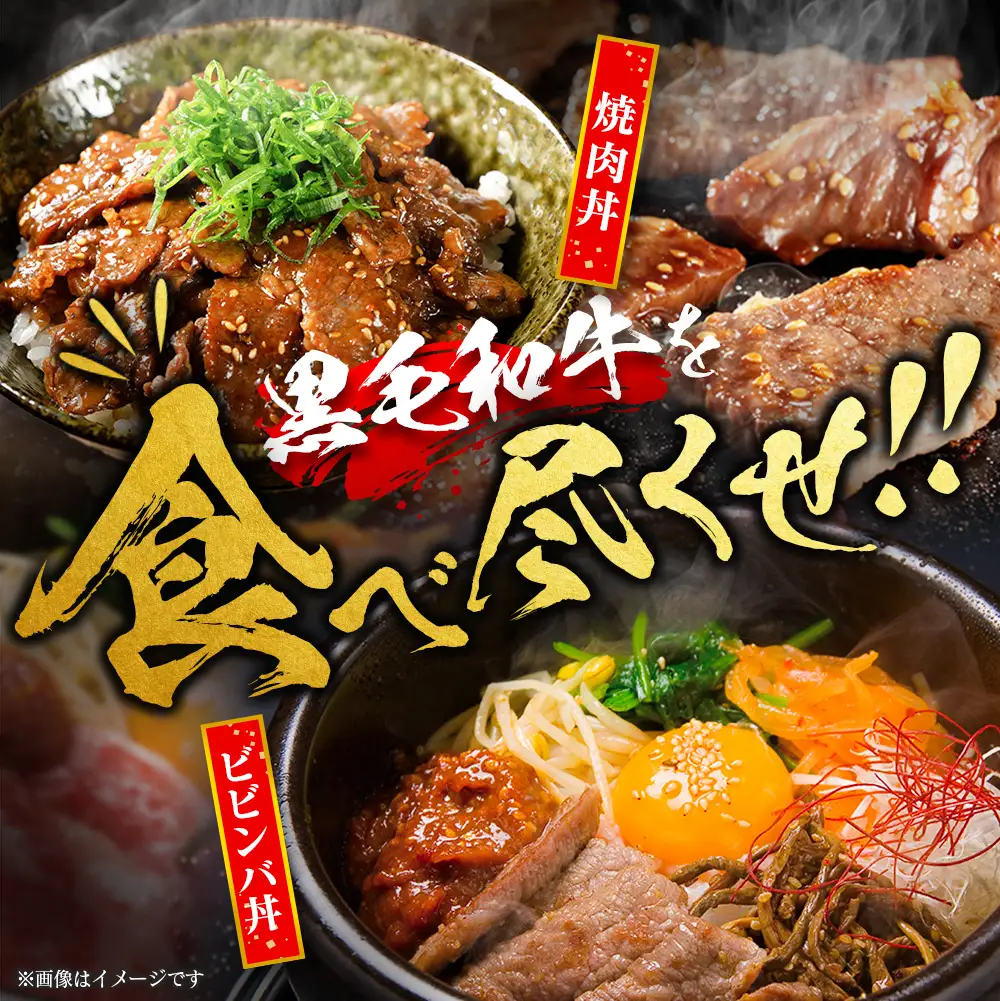 【ふるなびWEEK対象】14営業日以内出荷 訳あり 宮崎県産 黒毛和牛 切り落とし 焼肉 計500g 肉 A351-Y-14D