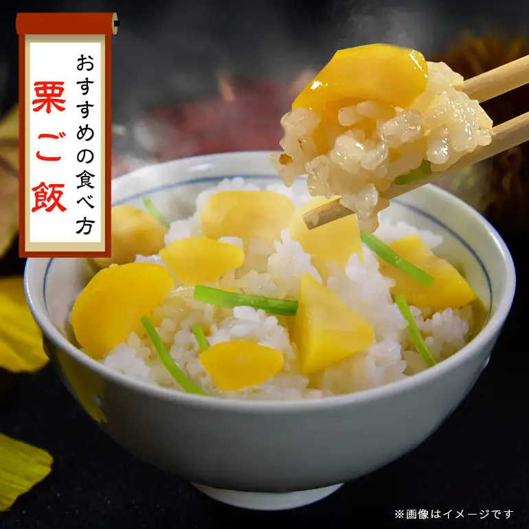 笠間の栗 2kg 2L（1kg×2セット） JV-006