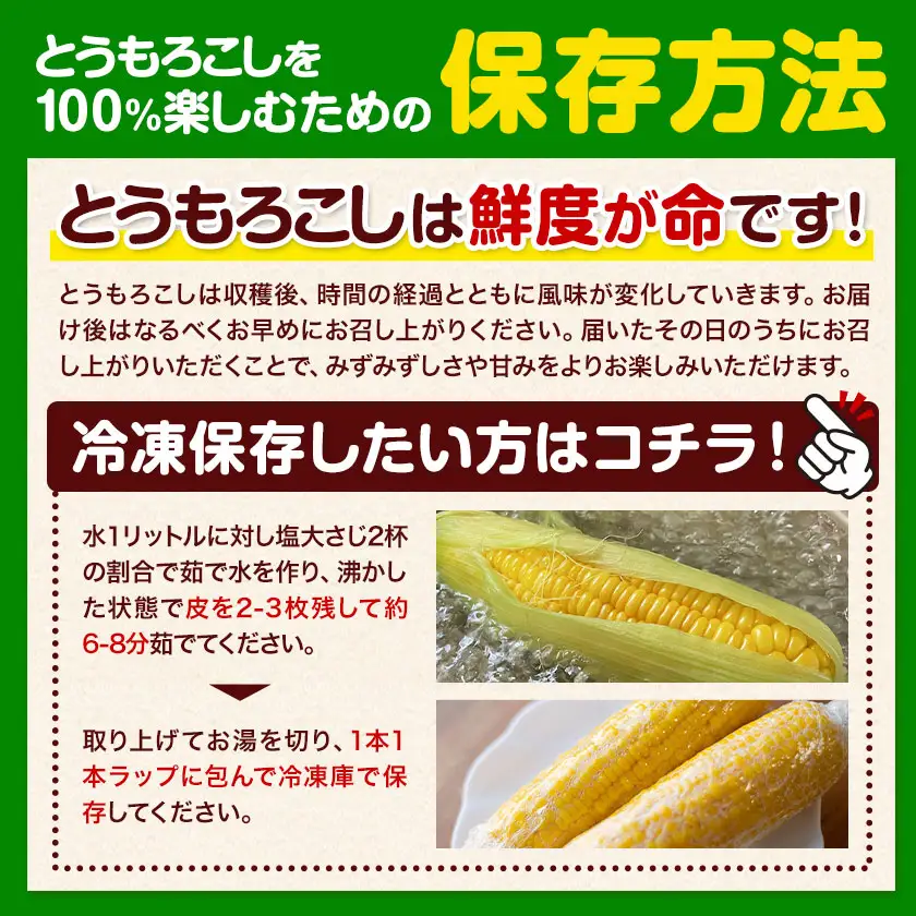 極甘 ピクニックコーン とうもろこし 11～13本 北海道 名寄