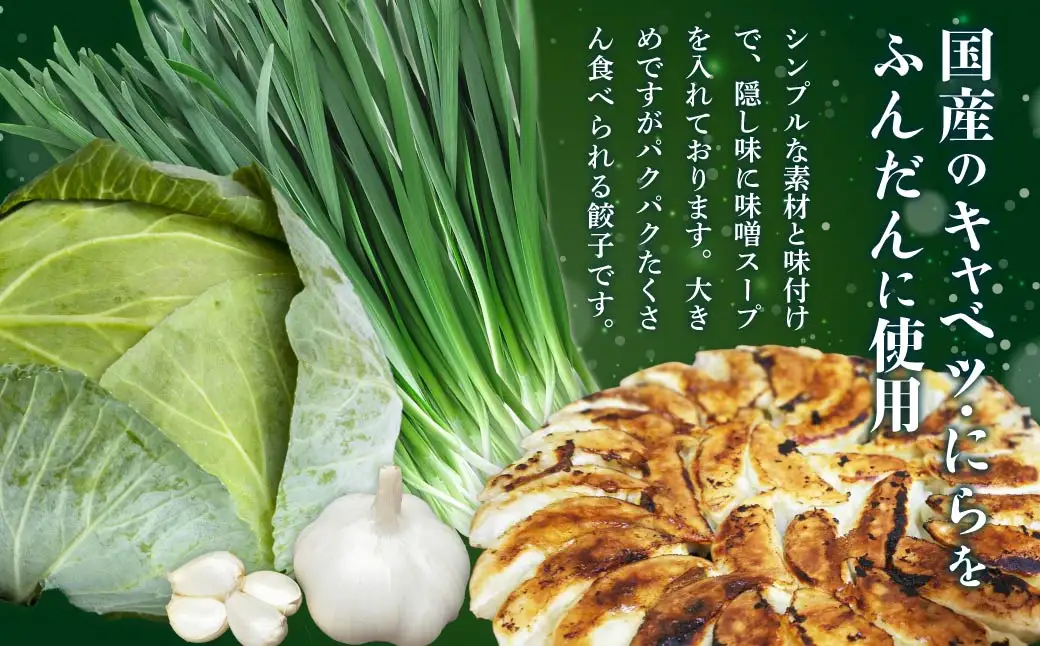 餃子 野菜餃子 60個セット (60個×1袋) 冷凍 餃子