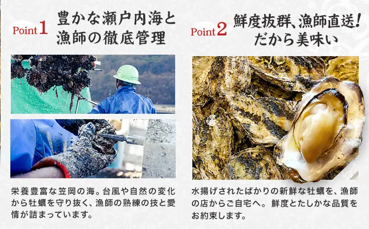 笠岡産 冷凍殻付き牡蠣 加熱用 1kg 15～20粒