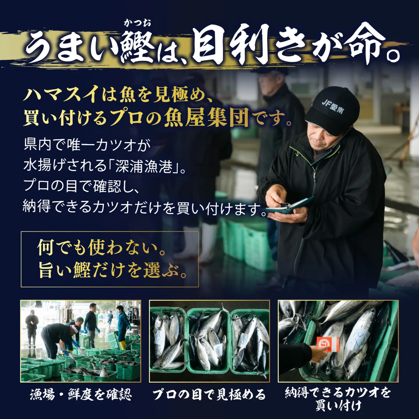 【訳あり】鰹のたたき 2.5kg │カツオのたたき かつお たたき 海鮮 魚 刺身 魚介類 katsuo katuo 鮮魚 有限会社 ハマスイ 愛南町 鬼北町