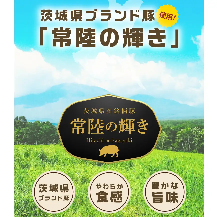 常陸の輝き バラエティ ブロック 7品 ( ハム ベーコン ソーセージ 焼豚 ) 国産豚 お取り寄せ グルメ 人気 冷蔵 詰め合わせ ギフト おかず ご当地グルメ ディナー 食べ比べ パーティー【茨城県共通返礼品/つくば市】（106-05）