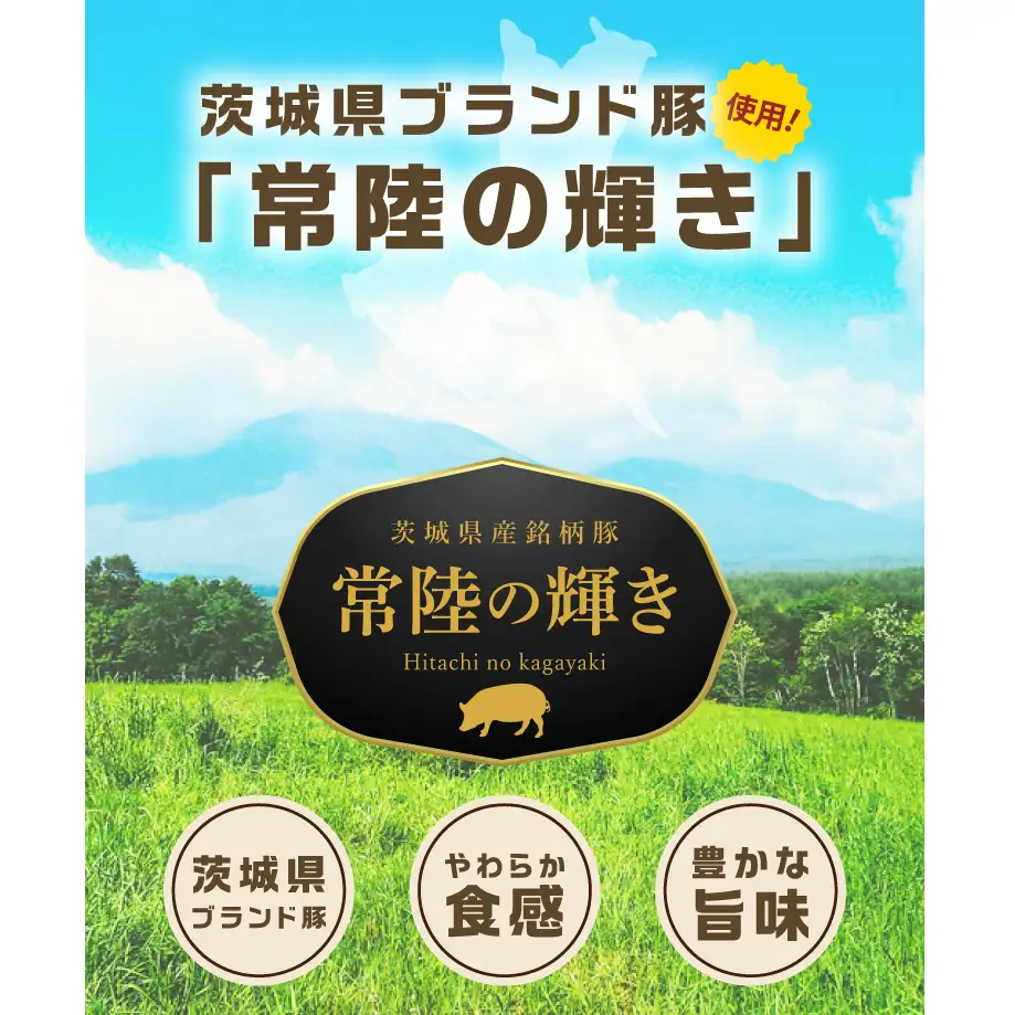 常陸の輝き バラエティ ブロック 7品 ( ハム ベーコン ソーセージ 焼豚 )【贈答用(熨斗対応可)】 国産豚 お取り寄せ グルメ 人気 冷蔵 詰め合わせ ギフト おかず ご当地グルメ ディナー 食べ比べ パーティー【茨城県共通返礼品/つくば市】（106-06）