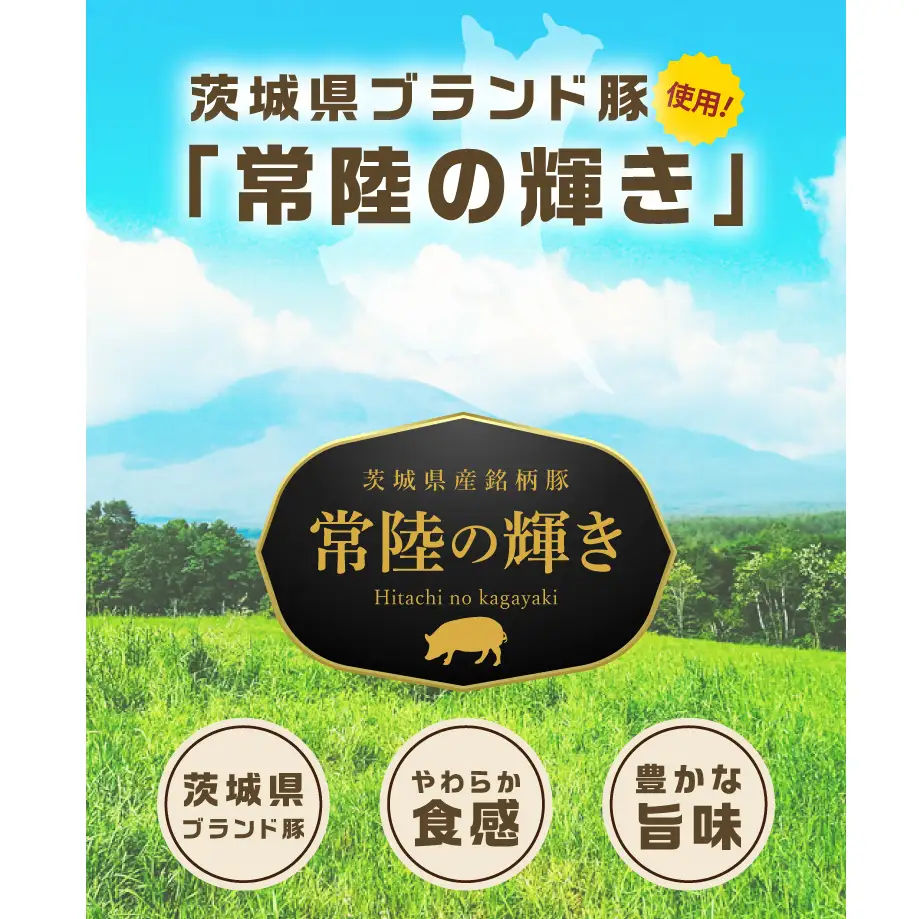 常陸の輝き バラエティ 9品 ( ハム ベーコン ソーセージ ) 豚肉 お取り寄せ グルメ 人気 冷蔵 詰め合わせ ギフト おかず ご当地グルメ ディナー 食べ比べ パーティー【茨城県共通返礼品/つくば市】（106-07）