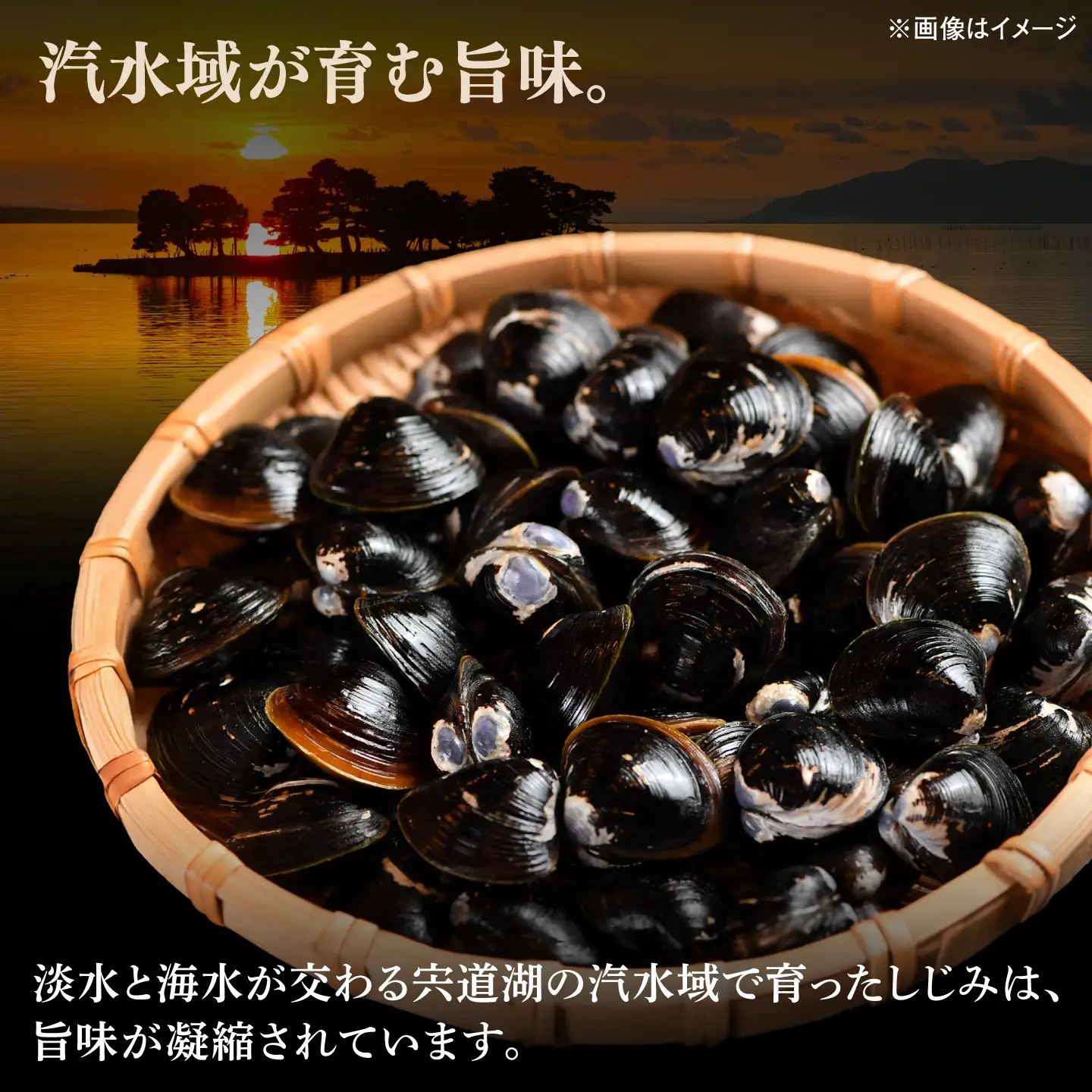しまねっこのしじみ汁(2人前)×2セット　島根県松江市/有限会社小西本店[ALAS007]