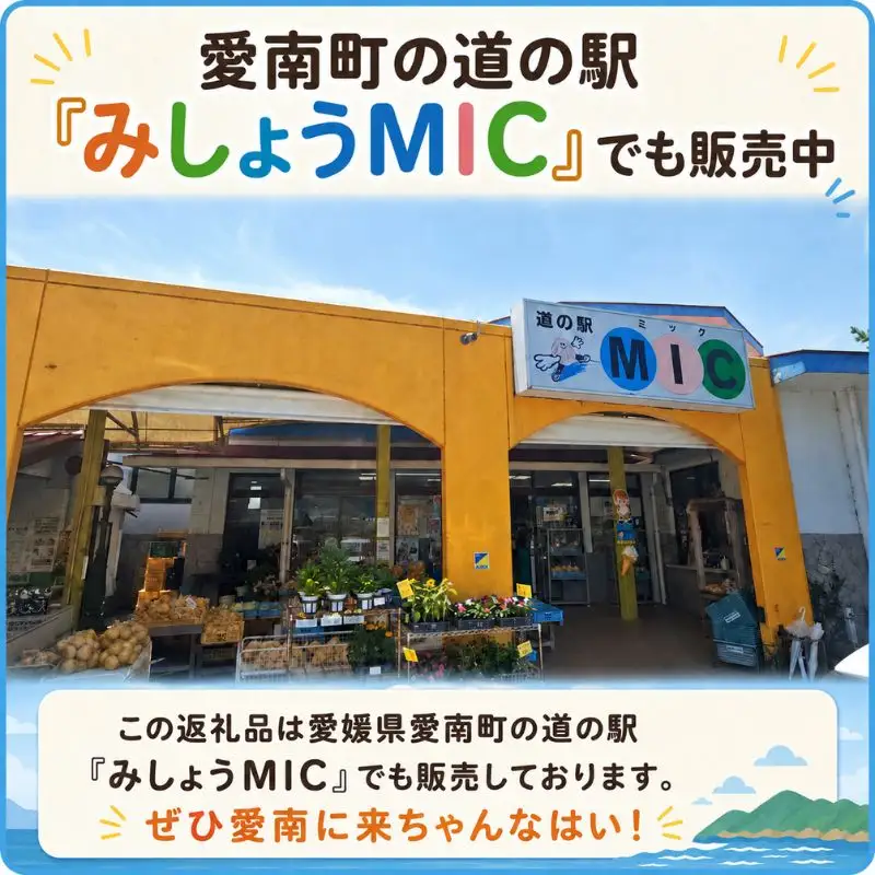 愛南町 旬 の 夏野菜 セット 柑橘 入りの場合も 最低3～4種類 野菜 サラダ 新鮮 葉物 根菜 香味 定番野菜 河内晩柑 かわちばんかん なす ピーマン 愛媛 愛南 愛南総研 道の駅MIC