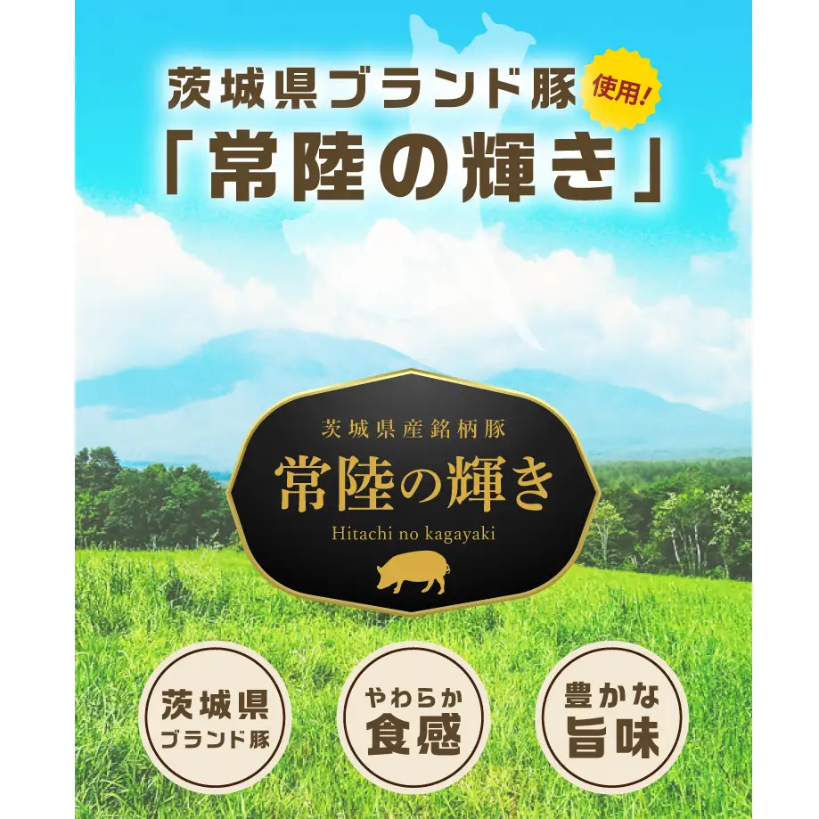 常陸の輝きバラエティ 6品 ( ハム ベーコン ソーセージ ) 豚肉 お取り寄せ グルメ 人気 冷蔵 詰め合わせ ギフト おかず ご当地グルメ ディナー 食べ比べ パーティー【茨城県共通返礼品/つくば市】（106-11）