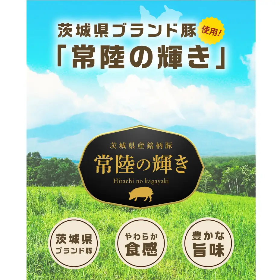 常陸の輝きバラエティ 6品 ( ハム ベーコン ソーセージ ) 【贈答用(熨斗対応可)】豚肉 お取り寄せ グルメ 人気 冷蔵 詰め合わせ ギフト おかず ご当地グルメ ディナー 食べ比べ パーティー【茨城県共通返礼品/つくば市】（106-12）