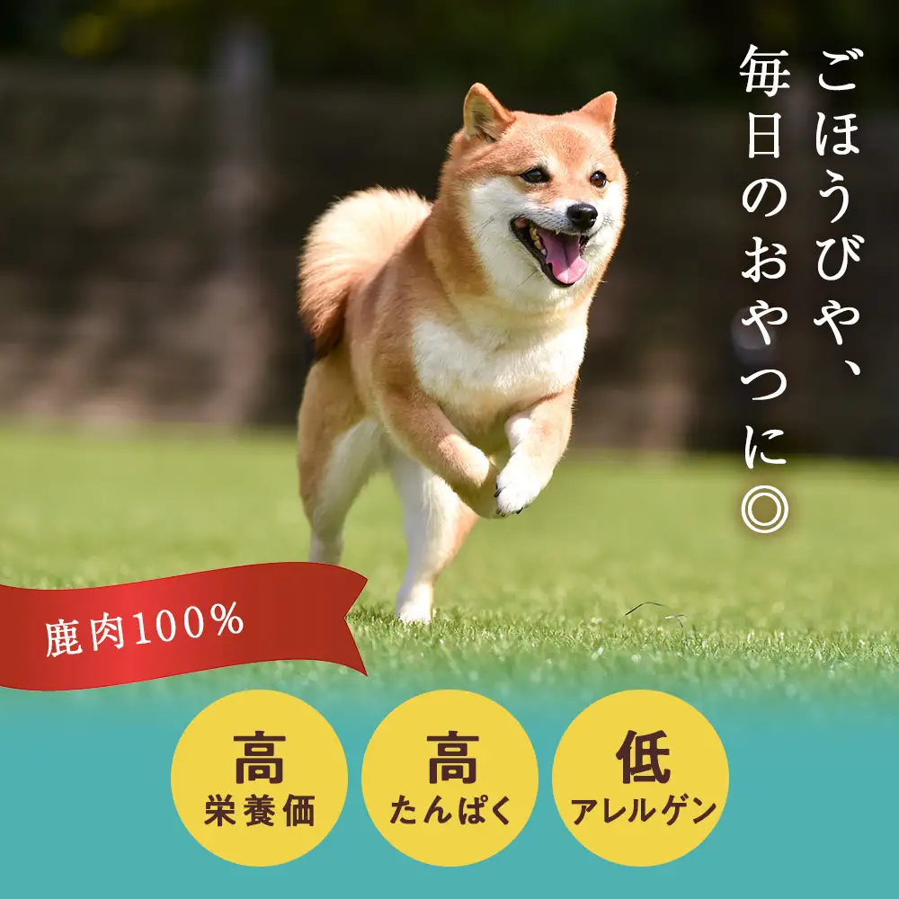 ジャーキー3種セット（サクサク・レバー・ハツ）各2袋