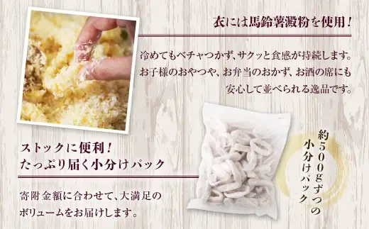 国産するめいか唐揚げ 約500g 冷凍 国産 スルメイカ いか イカ 唐揚げ AS-0148