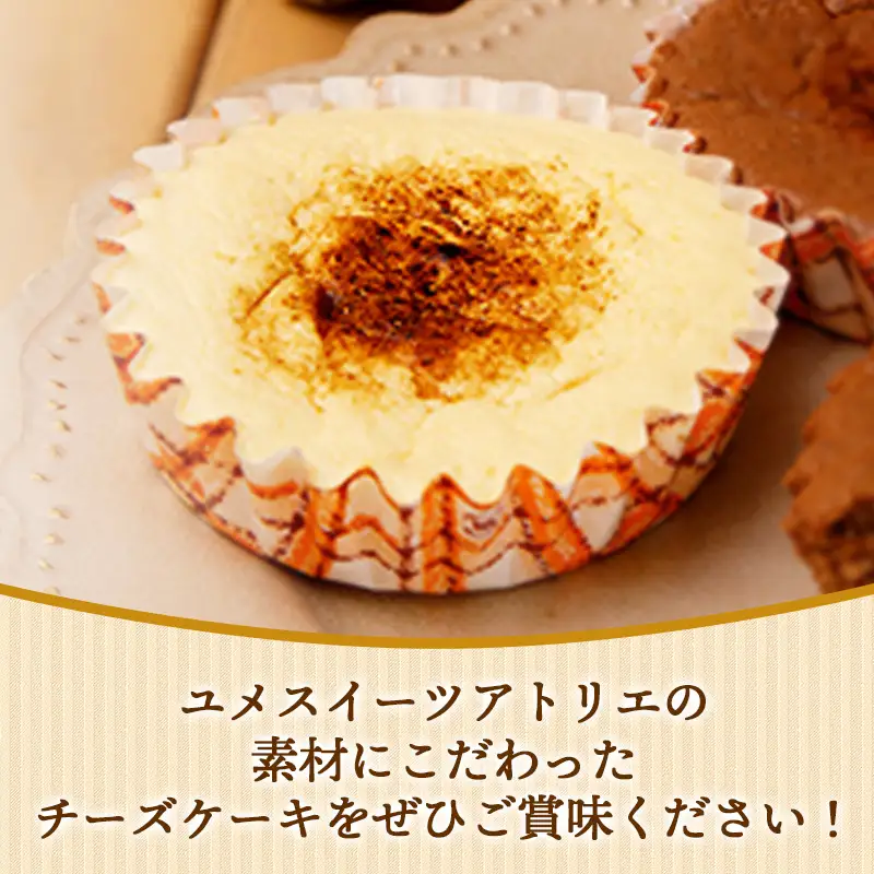 アトリエチーズ10個入り【チーズケーキ ケーキ おやつ お菓子 スイーツ 贈り物 島根県 安来市】【価格変更】【17-YA-07】