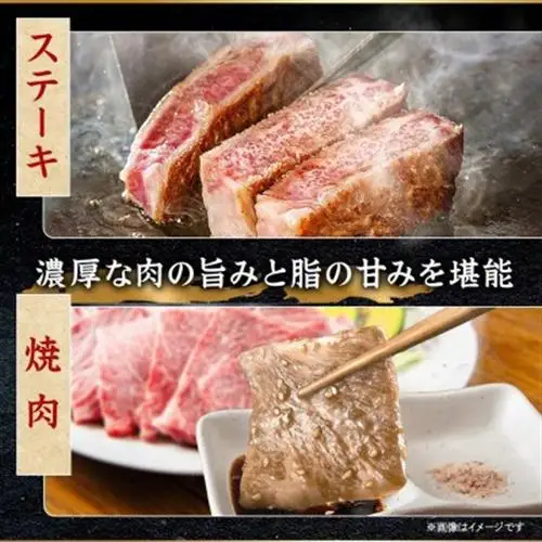 【発送月固定定期便】飛騨牛 赤身定期便 計3.4kg ヒレ モモ ブロック 赤身スライス 冷蔵全4回【配送不可地域：離島】【4088113】