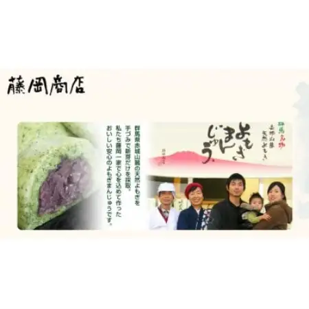 手摘み天然よもぎ100%使用!藤岡商店のこだわり「よもぎまんじゅう」(無添加)【配送不可地域：離島】【1745728】