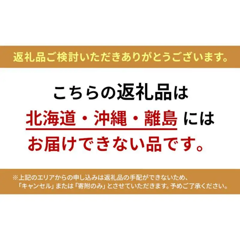 【ふるなびWEEK対象】極線君『王』 ou ブラシ 掃除 エンボスブラシ ゴクセンクン オウ 超極細ステンレスブラシ コーナーブラシ 床洗浄ブラシ 日進市 愛知県