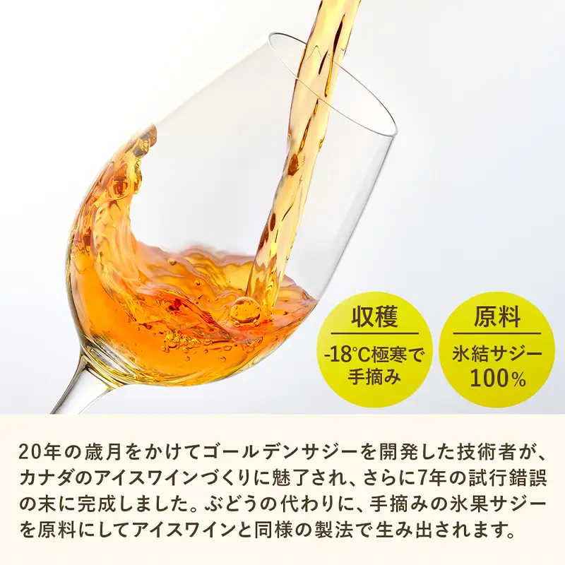 GOLDEN SAJI®サジーワイン琥珀 375ml 【272002】