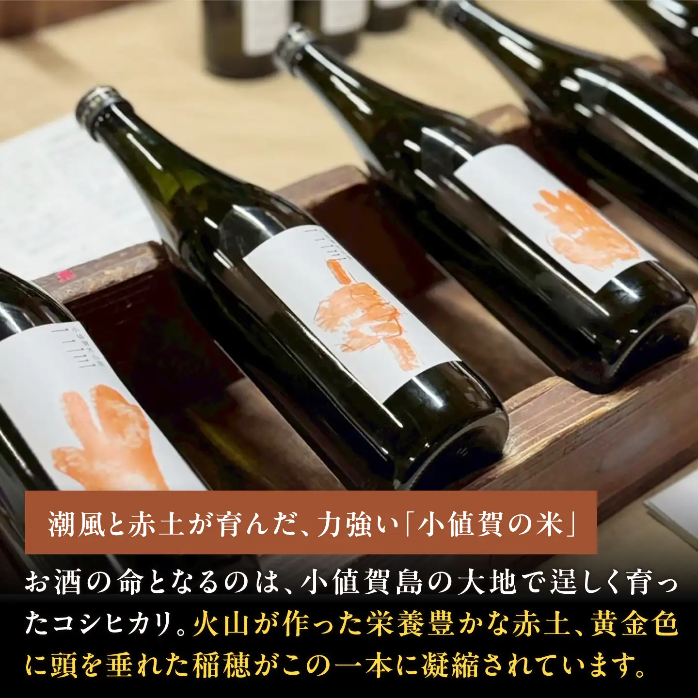 小値賀米山廃　一二三 〈生搾り〉 720ml×1本 【2026年】[DAB087]
